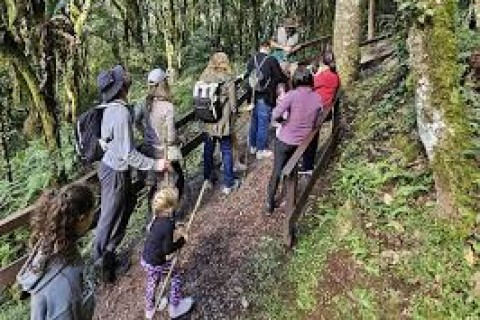 Projeto Loboguará promove Vivência de Dia dos Pais em Canela