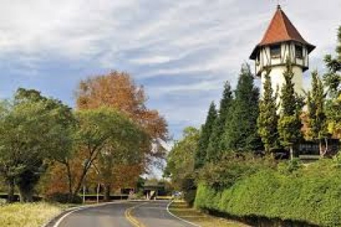Festival Internacional de Folclore impulsiona turismo e economia em Nova Petrópolis